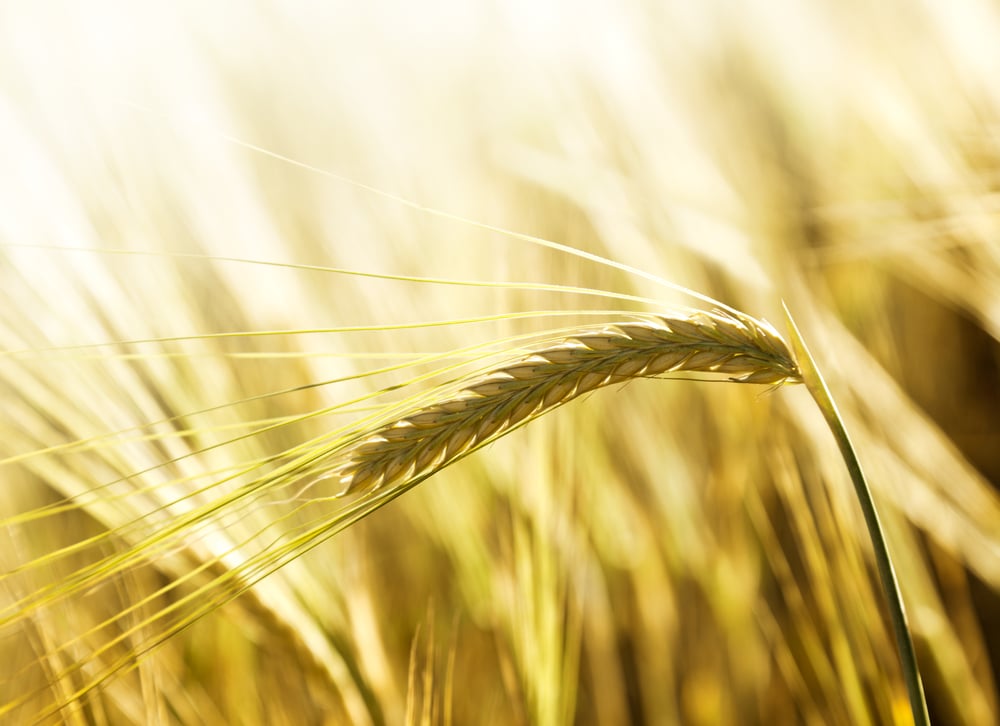 Erp for the farming industry